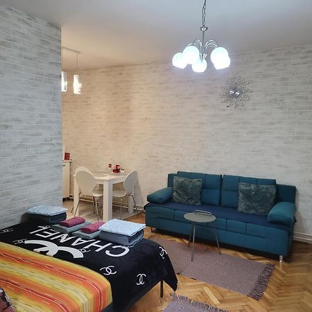 Apartman "Garden" Novi Sad Eksteriør billede