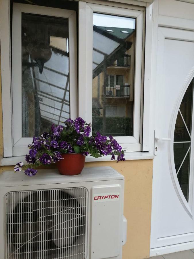 Apartman "Garden" Novi Sad Eksteriør billede
