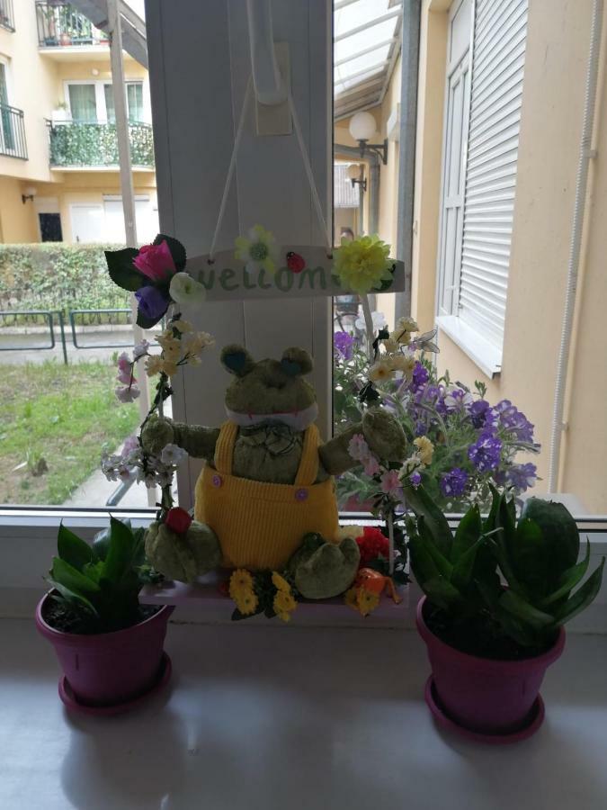 Apartman "Garden" Novi Sad Eksteriør billede